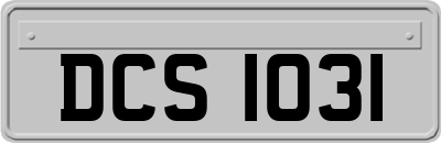 DCS1031
