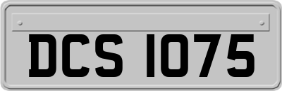 DCS1075