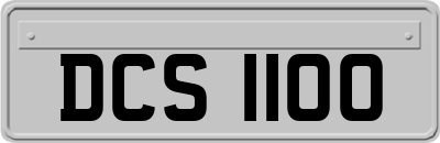 DCS1100