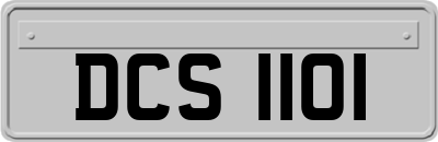 DCS1101