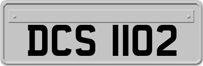 DCS1102