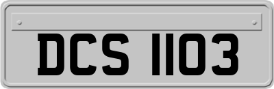 DCS1103