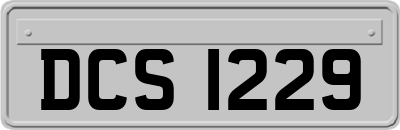 DCS1229