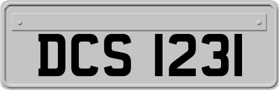 DCS1231