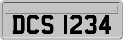 DCS1234