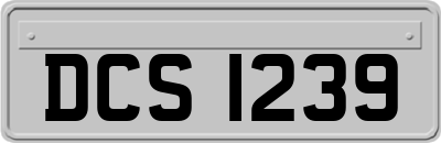 DCS1239