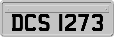 DCS1273