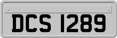 DCS1289