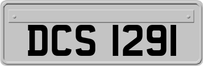 DCS1291
