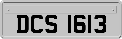 DCS1613