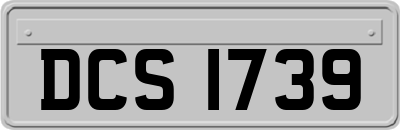 DCS1739