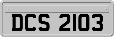 DCS2103