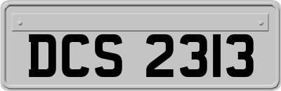 DCS2313
