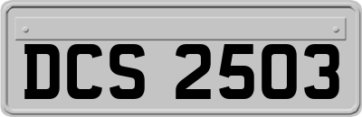 DCS2503