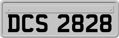 DCS2828