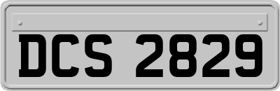 DCS2829