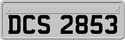 DCS2853