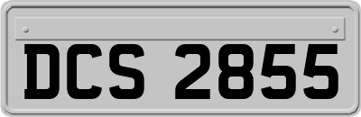 DCS2855