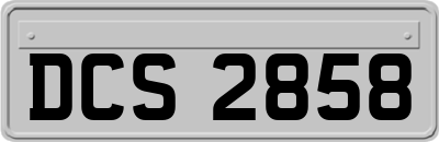 DCS2858