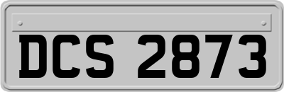DCS2873