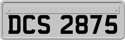 DCS2875