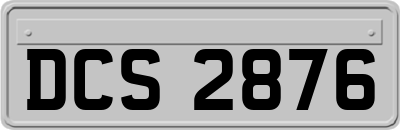 DCS2876