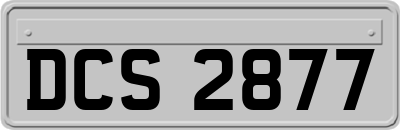 DCS2877