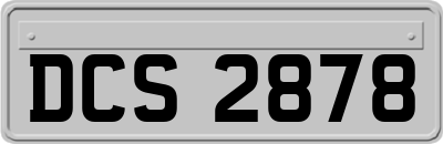 DCS2878