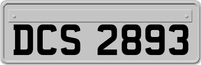 DCS2893