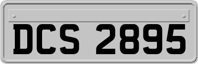 DCS2895