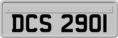 DCS2901