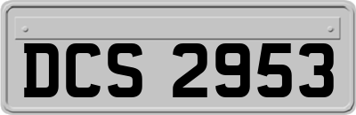 DCS2953