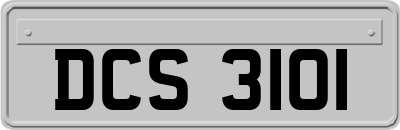 DCS3101