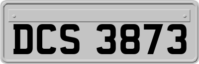DCS3873