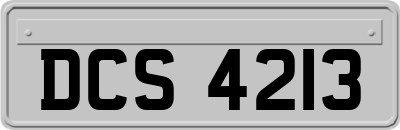 DCS4213