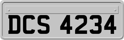 DCS4234