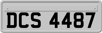 DCS4487