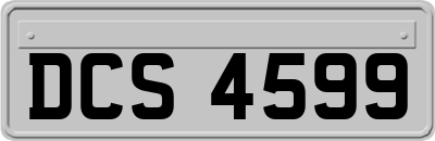 DCS4599
