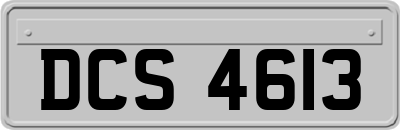 DCS4613
