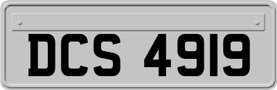 DCS4919