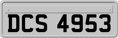 DCS4953