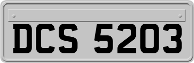 DCS5203