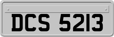 DCS5213
