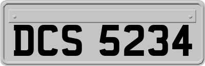 DCS5234