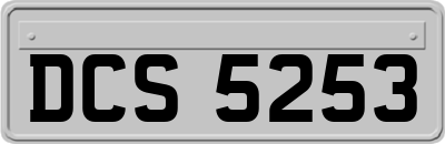 DCS5253