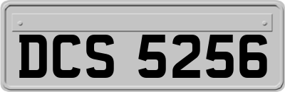 DCS5256