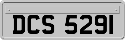 DCS5291