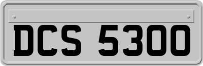DCS5300