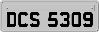 DCS5309