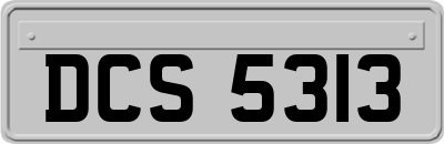 DCS5313
